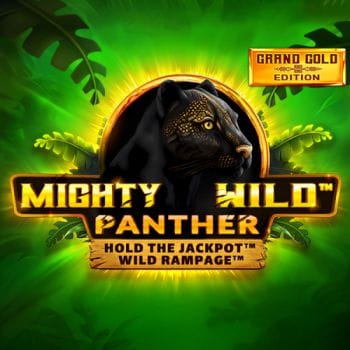 Mighty Wild™ Panther Grand Gold Edition game cover